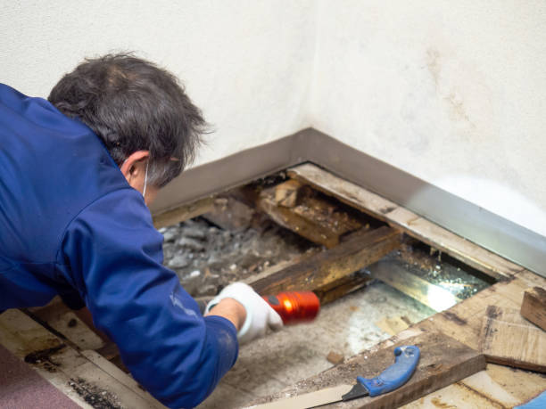 Water Damage Restoration in Taylor, PA