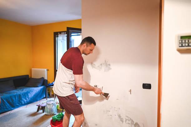 Professional Mold Removal in Taylor, PA